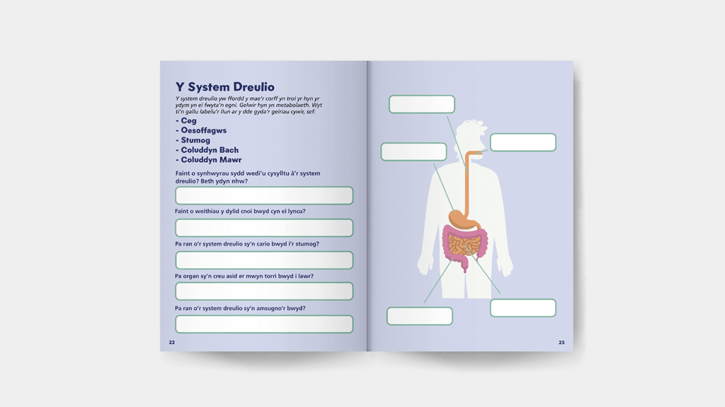 book-systemdreulio